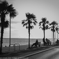 Buy canvas prints of Southend-On-Sea Palm Tree's by Benjamin Brewty