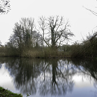 Buy canvas prints of Cassiobury Park Watford by Benjamin Brewty