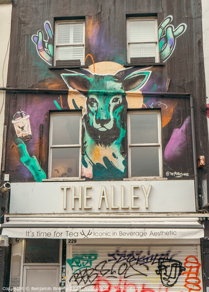 The Alley Picture Board by Benjamin Brewty