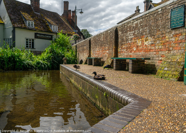 Ducks at Wheathampstead Picture Board by Benjamin Brewty