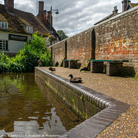 Buy canvas prints of Ducks at Wheathampstead by Benjamin Brewty