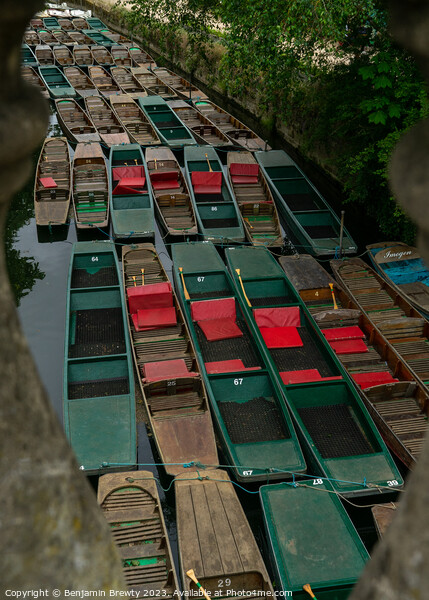 Oxford Boats Picture Board by Benjamin Brewty