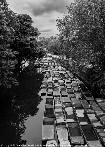 Oxford Boats ( Black & White ) Picture Board by Benjamin Brewty