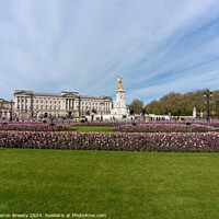 Buy canvas prints of Buckingham Palace Grounds by Benjamin Brewty