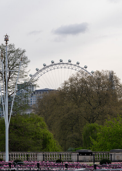 The London Eye Picture Board by Benjamin Brewty