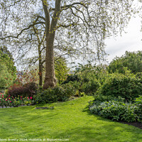 Buy canvas prints of Flowers In St James's Park by Benjamin Brewty