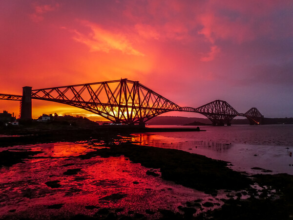 Forth Bridge Sunrise Picture Board by Set Up, Shoots and Leaves