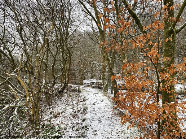 Winter Woodland in the Snow Picture Board by Gemma De Cet