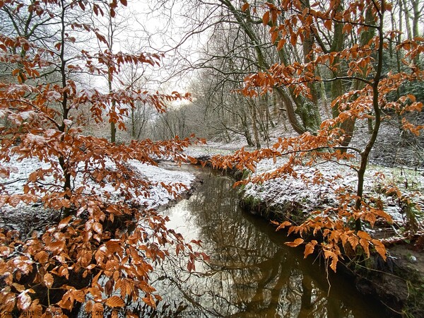 River Irk in the Snow Picture Board by Gemma De Cet