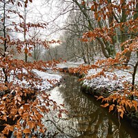 Buy canvas prints of River Irk in the Snow by Gemma De Cet