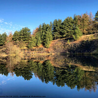 Buy canvas prints of Tree Reflection at Watergrove Reservoir  by Gemma De Cet