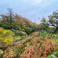 Buy canvas prints of Threlkeld Autumn Landscape, Lake District by Gemma De Cet