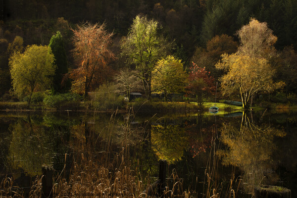 Reflections on Loch Ard Picture Board by Neil McKellar