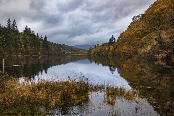 Reflective Loch Ard in Autumn 1 Picture Board by Neil McKellar