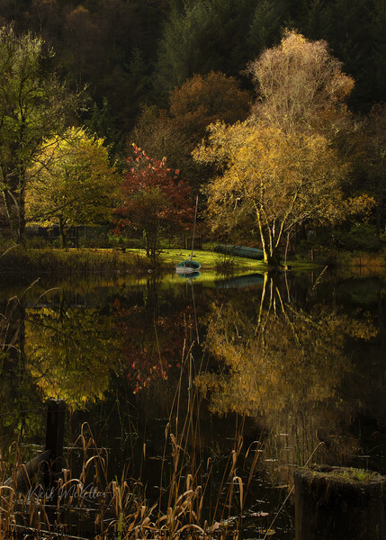 Reflections on Loch Ard 2 Picture Board by Neil McKellar