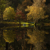 Buy canvas prints of Reflections on Loch Ard 2 by Neil McKellar
