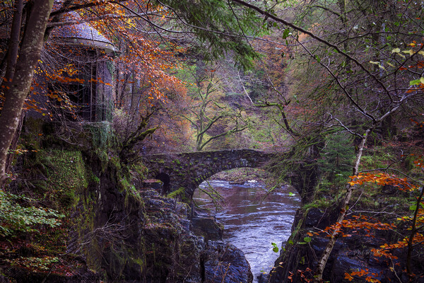 The Hermitage Bridge in Autumn Picture Board by Neil McKellar
