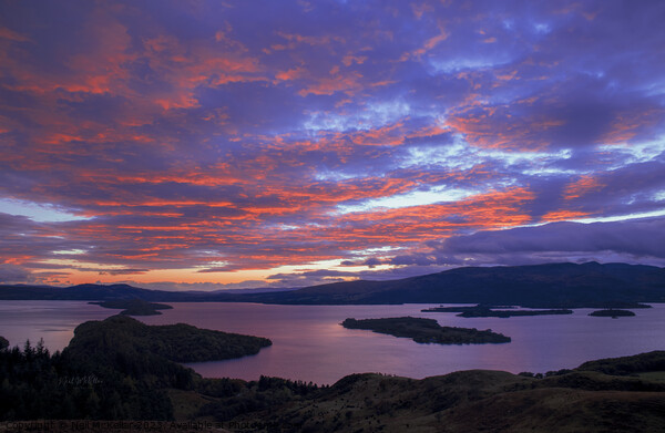 Sunset over Loch Lomond Picture Board by Neil McKellar