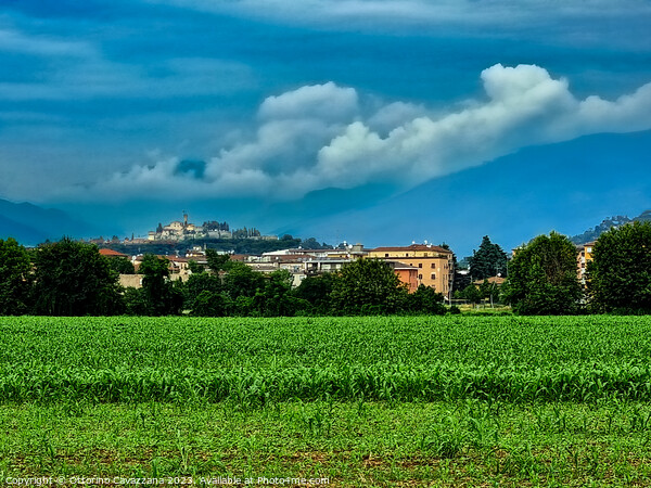 field  with trees and a castle Picture Board by Ottorino Cavazzana
