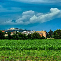 Buy canvas prints of field  with trees and a castle by Ottorino Cavazzana