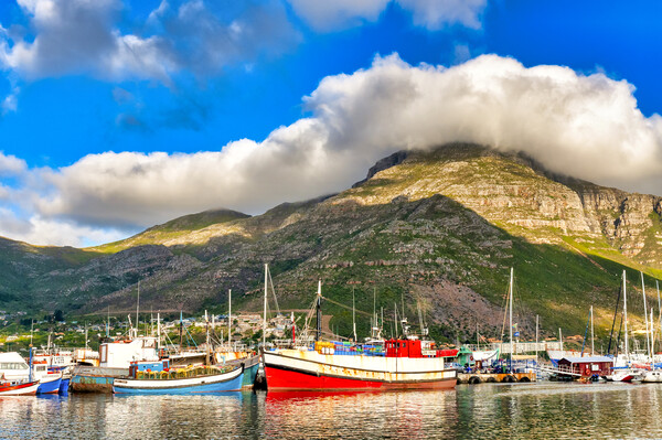Hout Bay harbour Picture Board by Fabrizio Troiani