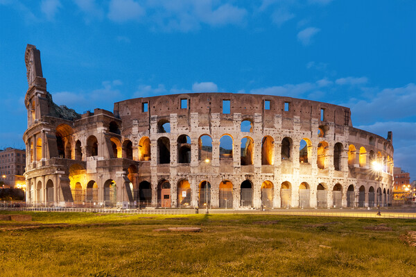 View of the Colosseum Picture Board by Fabrizio Troiani