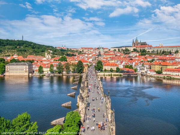  View from above with the Charles Bridge main touristic attraction with the Prague Castle in the background Picture Board by Cristi Croitoru