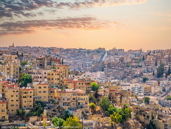 Amman at sunset Picture Board by Cristi Croitoru