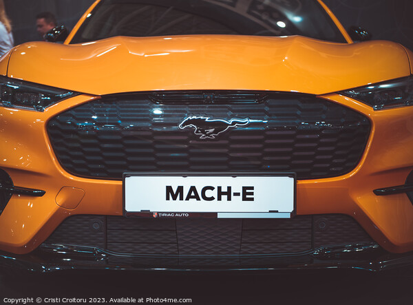  Ford Mustang Mach -E  Picture Board by Cristi Croitoru