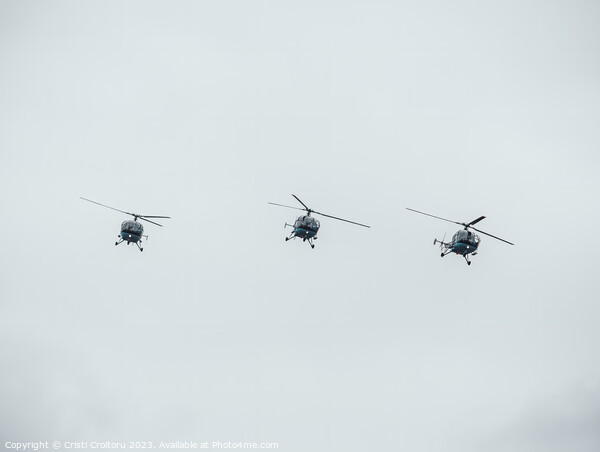 Three helicopters flying. Picture Board by Cristi Croitoru