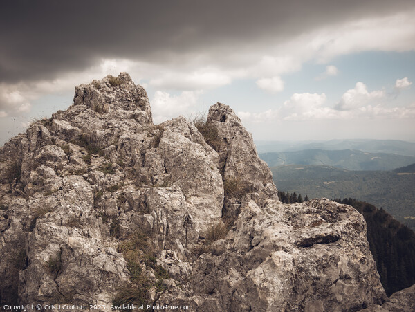 Beautiful landscape in Carpathian Mountains. Picture Board by Cristi Croitoru