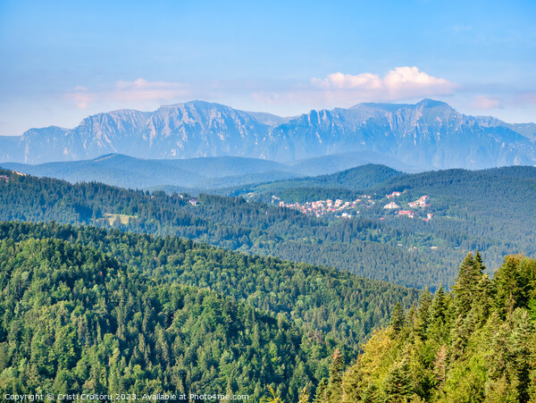 Beautiful landscape in Carpathian Mountains of Romania. Picture Board by Cristi Croitoru