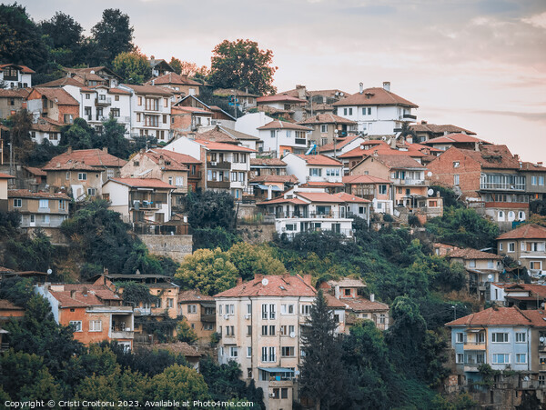 Houses in Veliko Tarnovo, Bulgaria Picture Board by Cristi Croitoru