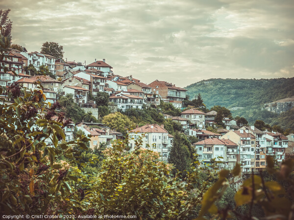 Houses in Veliko Tarnovo. Picture Board by Cristi Croitoru