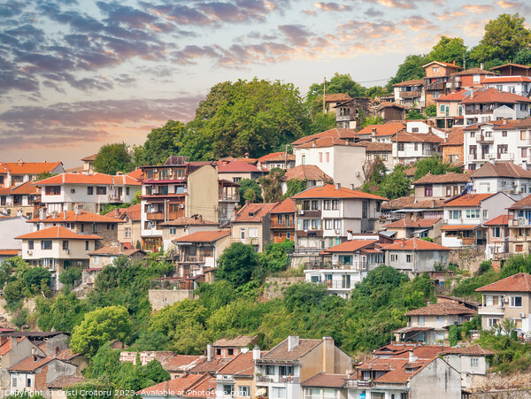 Houses in Veliko Tarnovo Bulgaria Picture Board by Cristi Croitoru