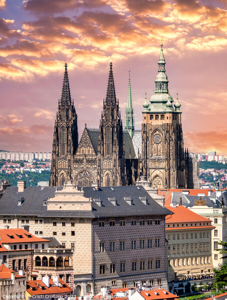  St. Vitus Cathedral in Prague Castle. Picture Board by Cristi Croitoru