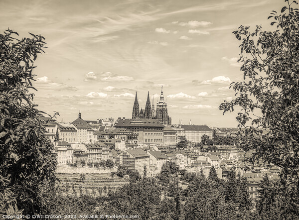  St. Vitus Cathedral in Prague Castle. Picture Board by Cristi Croitoru