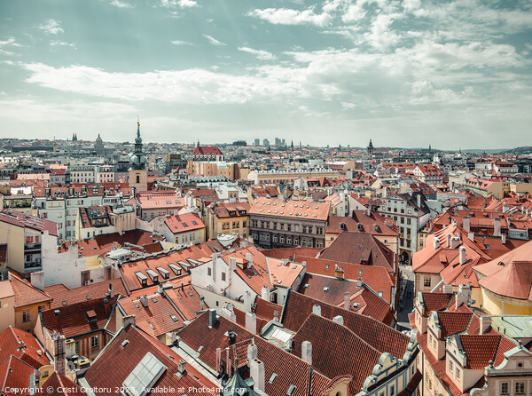Aerial view with the city of Prague. Picture Board by Cristi Croitoru