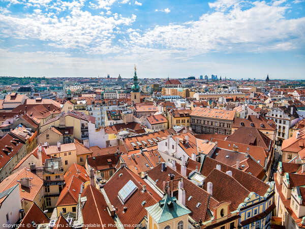 View with the city of Prague Picture Board by Cristi Croitoru