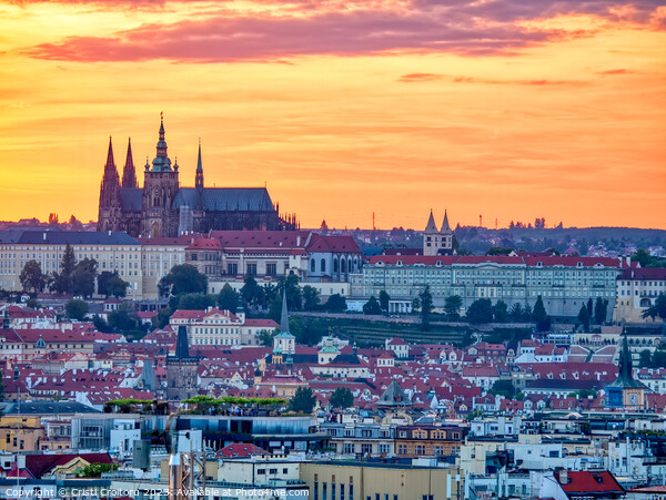 Prague Castle at sunset.  Picture Board by Cristi Croitoru
