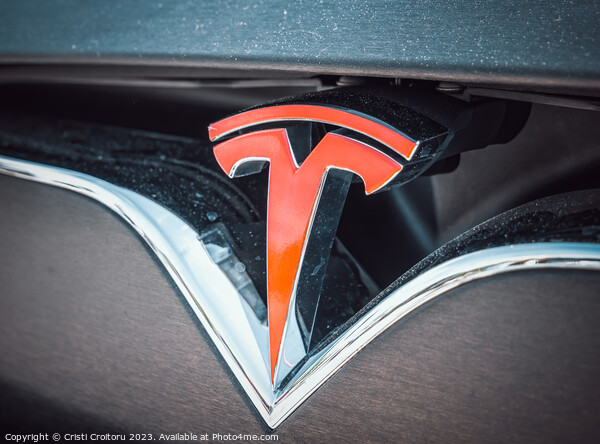  Tesla car. Picture Board by Cristi Croitoru