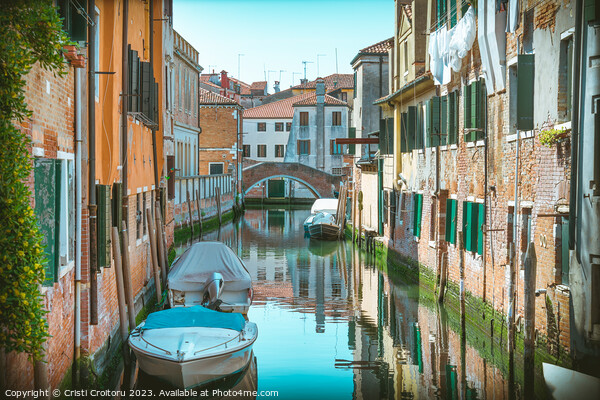 Narrow water canals in Venice. Picture Board by Cristi Croitoru