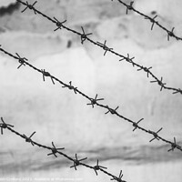 Buy canvas prints of Barbed wire fence by Cristi Croitoru