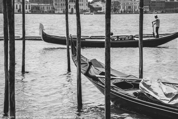A gondolier or venetian boatman propelling a gondola on Grand Canal in Venice. Black and white photography. Picture Board by Cristi Croitoru