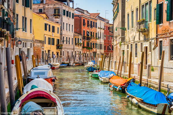Narrow water canals in Venice. Picture Board by Cristi Croitoru