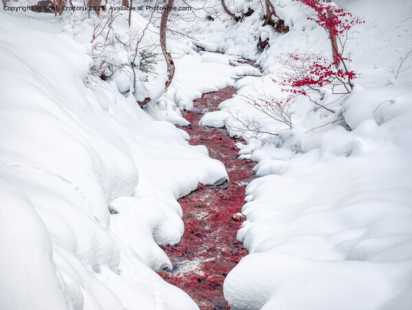 Blood red stream. Picture Board by Cristi Croitoru
