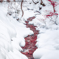 Buy canvas prints of Blood red stream. by Cristi Croitoru