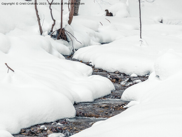 Winter forest stream. Picture Board by Cristi Croitoru