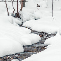 Buy canvas prints of Winter forest stream. by Cristi Croitoru