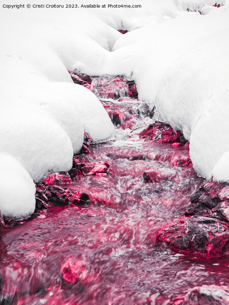 Winter forest red stream. Picture Board by Cristi Croitoru